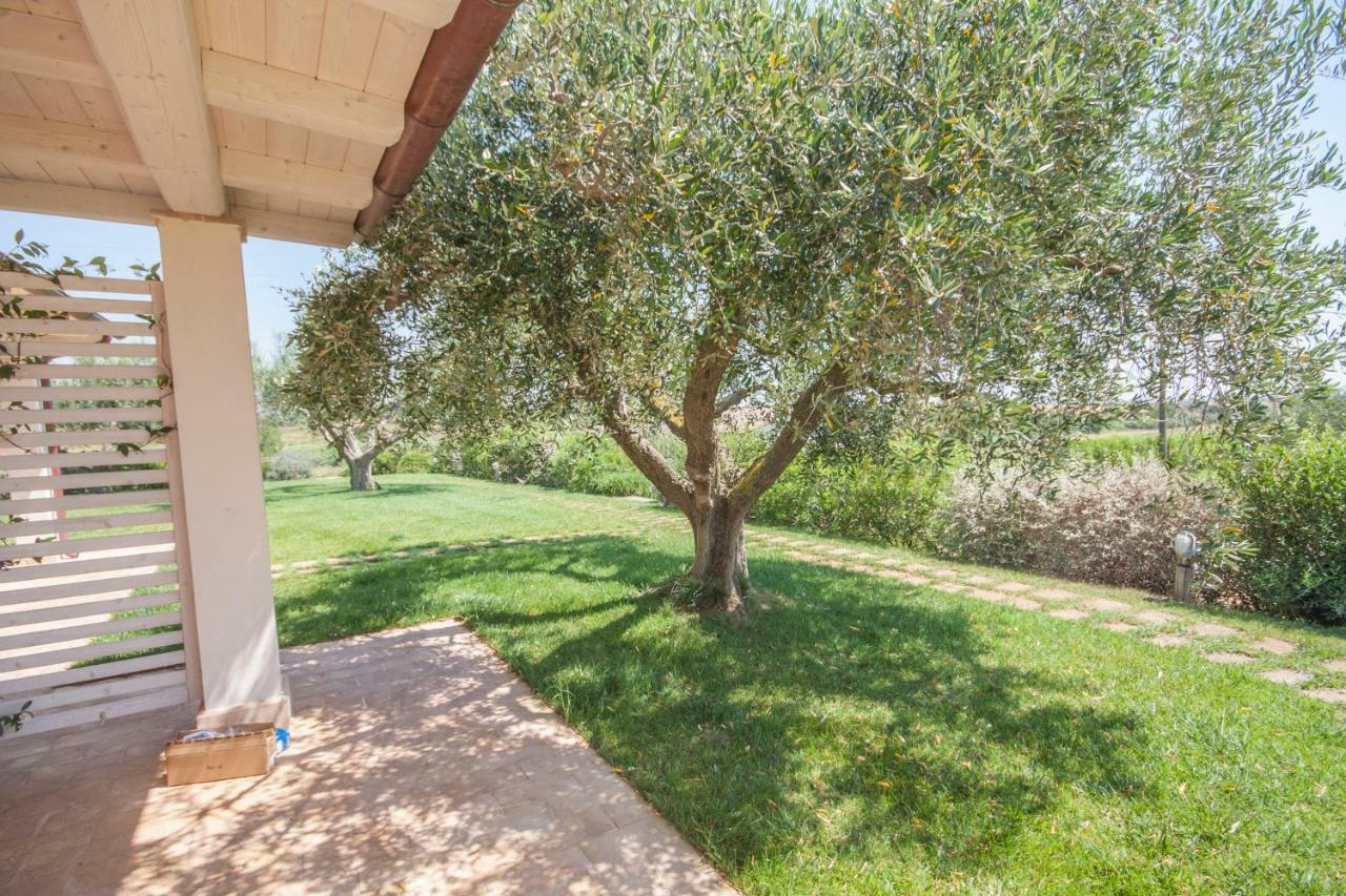 Agriturismo Il Mirto Pescia Romana Kamer foto